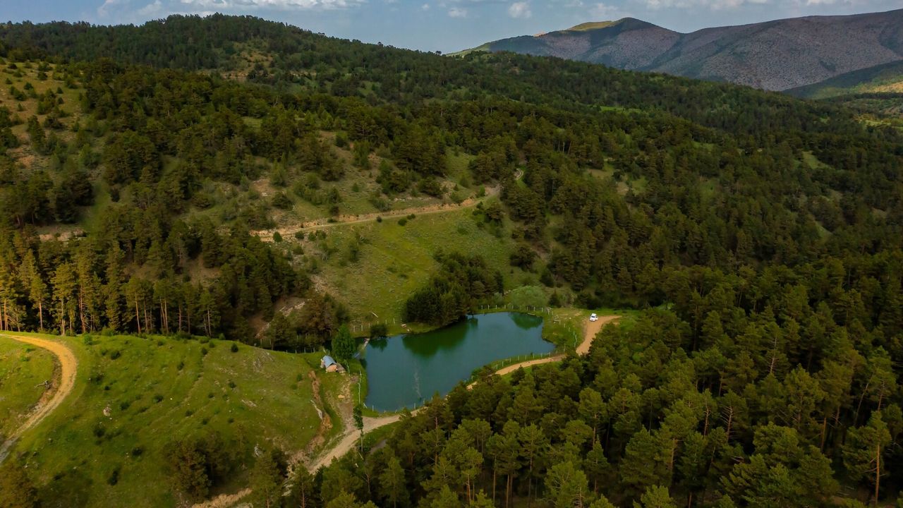 Akdağmadeni’nde 3 orman işletme şefliği için arazi hazırlığı ihalesi