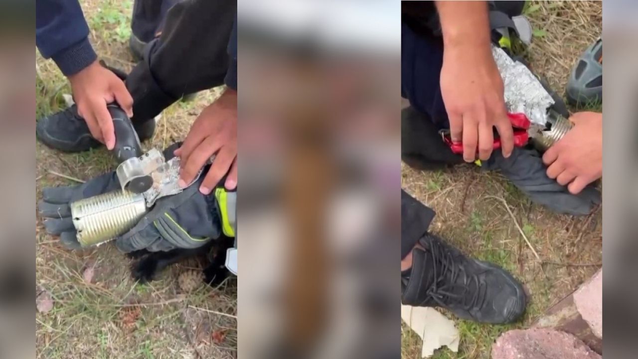 Kafası konserve kutusunda sıkıştı: İtfaiye imdadına yetişti