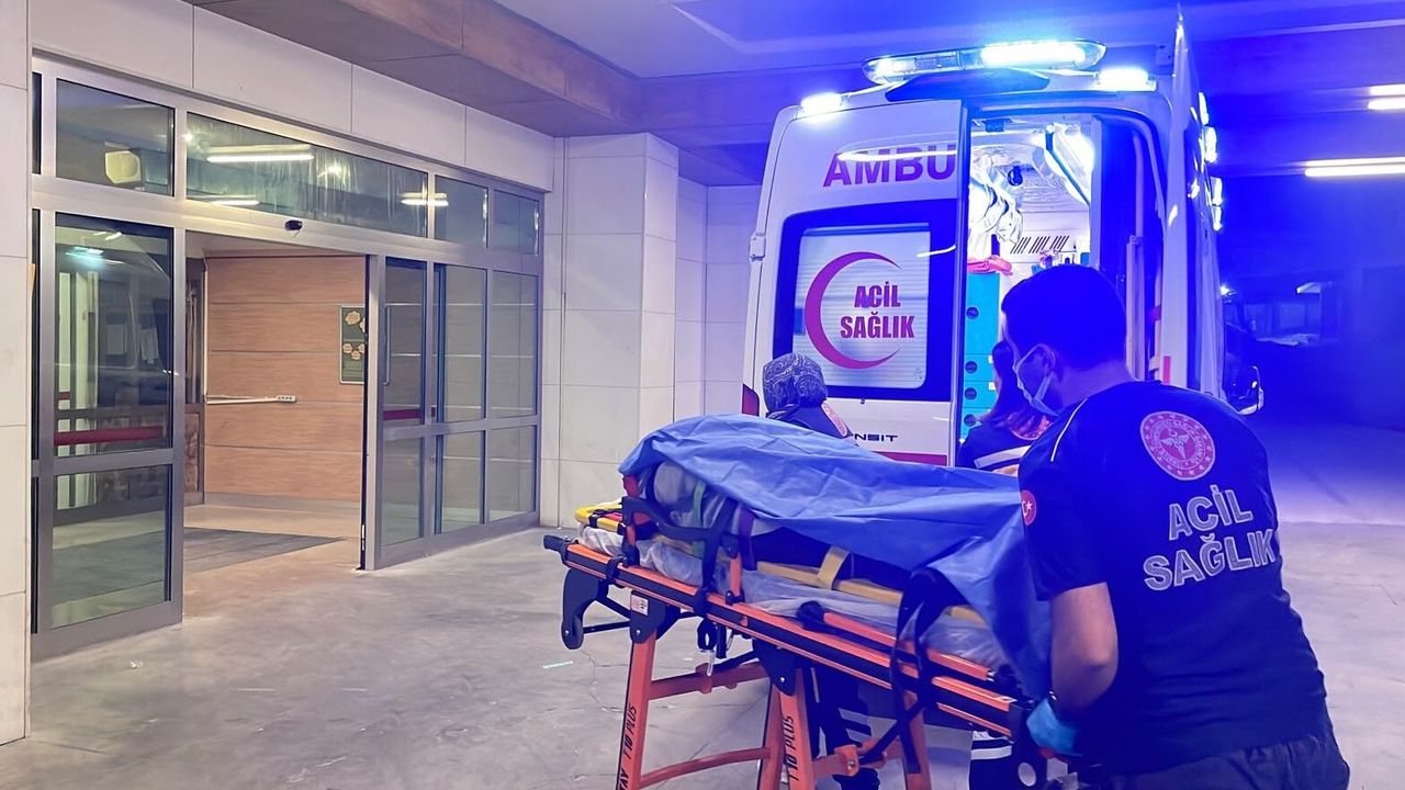 Hafif ticari aracın çarptığı kadın yaralandı