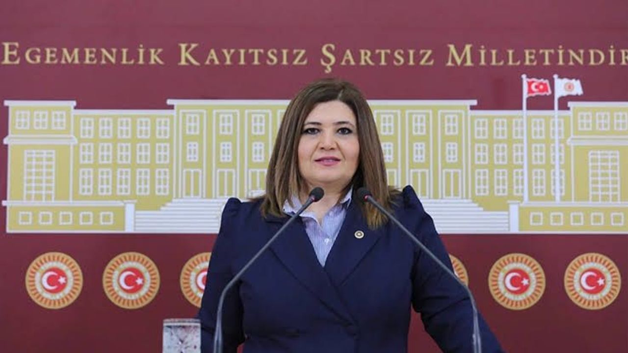 Selcan Taşçı Hamşioğlu kimdir? Selcan Taşçı nereli, evli mi, eşi kim ve hangi partili?