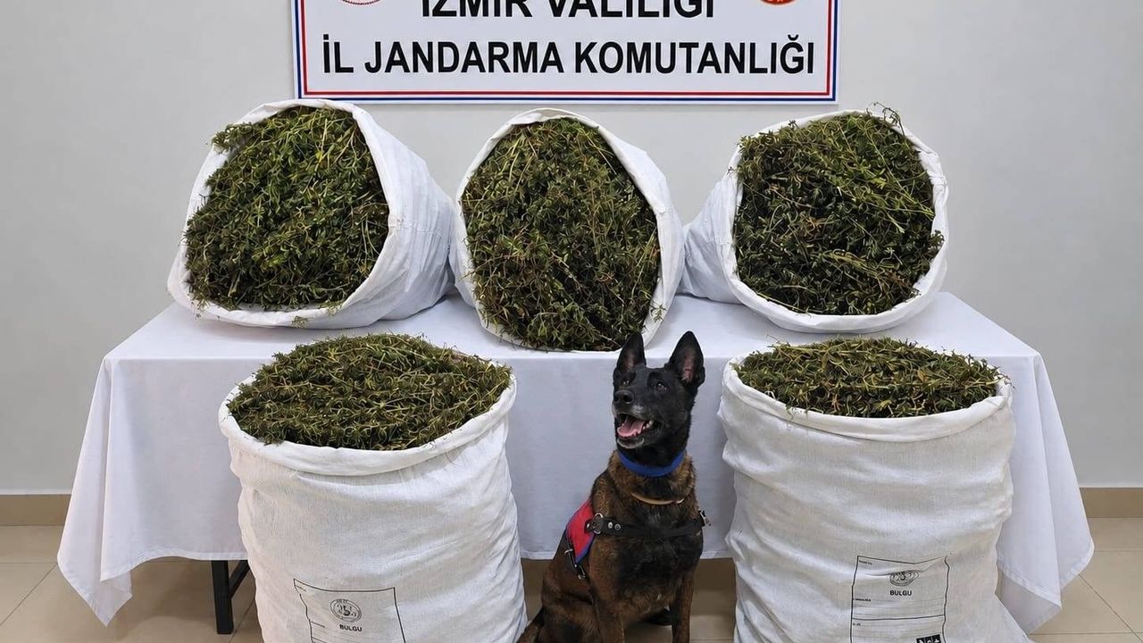 Jandarmadan uyuşturucu operasyonu! 54 kilo esrar ele geçirildi