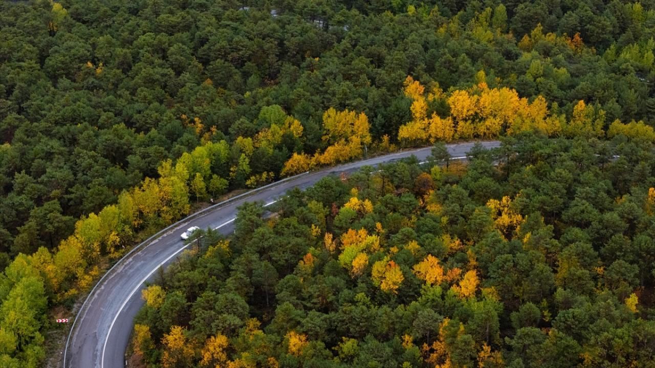 Yozgat'ın Akdağmadeni ilçesinde sonbahar renkleri büyülüyor