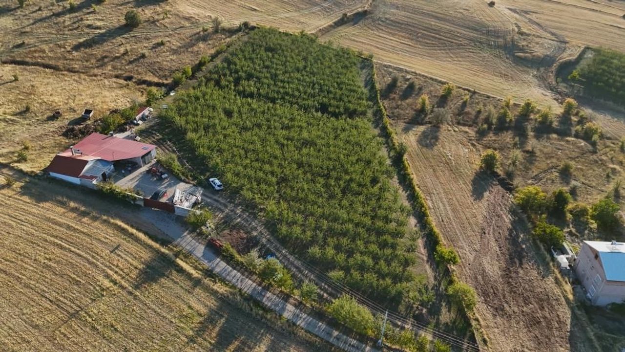 Almanya'da doktorun önerisini dinledi! Yozgat'ta üretici oldu