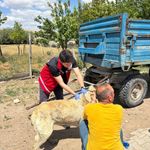 Yozgat’ta hayvan sahiplerine kritik uyarı: Aşı ve mikroçip zorunluluğuna dikkat