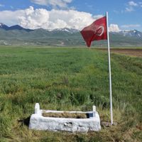 Yaşam