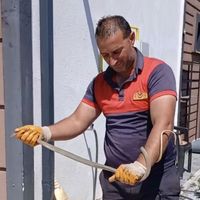 Yaşam