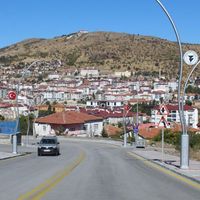 Siyaset
