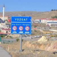Siyaset