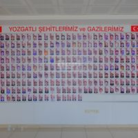 Yaşam