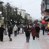 Yaşam