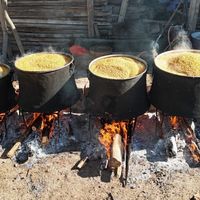 Yaşam