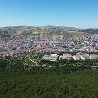 Yaşam