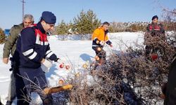 Doğaya yem bıraktılar