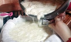 KOP Destekli peynir üretimi