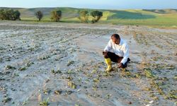 Sel tarım alanlarına zarar verdi