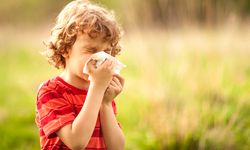 Uzmanlar uyarıyor: Yaz alerjileri artışta