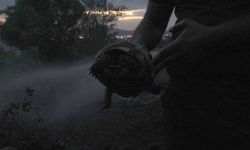 Kaplumbağayı yanmaktan itfaiye kurtardı