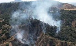 Çankırı’da orman yangını: 50 dönüm alan zarar gördü