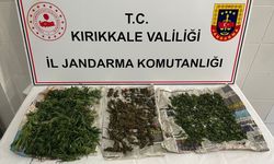 Kırıkkale'de saman yığınına gizlenmiş 1 kilogram esrar ele geçirildi