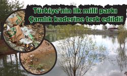 Türkiye’nin ilk milli parkı Çamlık kaderine terk edildi!