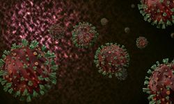 Virüs panik yaratıyor: Belirtilere dikkat!