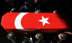 Türkiye'ye şehit ateşi düştü: Hayat hikayeleri yürekleri sızlattı