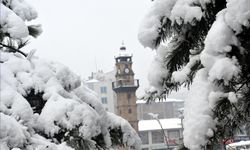Kışın vazgeçilmezi Yozgat'ta büyük ilgi görüyor!