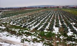 Kış vakti Yozgat'ta tarım eğitimi!