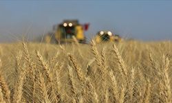 TÜİK verileri açıkladı: Tarım-ÜFE yıllık yüzde 57,85 arttı