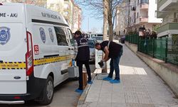 Eşini öldürmek için geldi: Polisi görünce kendini vurdu!