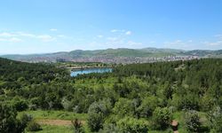 Türkiye’nin ilk Milli Parkı Yozgat Çamlık Milli Parkında etkinlik