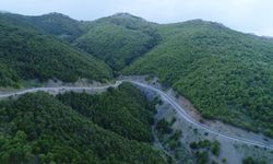Yozgat, Tokat, Çorum, Sivas'ın korkulu rüyasıydı: Çalışma sonuç verdi!