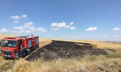 15 hektar ekili arazi yangında kül oldu