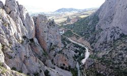Kazankaya Kanyonunda yaralı şahin bulundu!