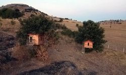 Görenler Karadeniz zannediyor… Ama burası Yozgat!