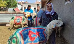 Sarıoğlan'da süslenip boyanan koçlar sürüye katıldı