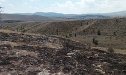 Trafoda çıkan yangın araziye sıçradı