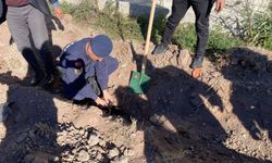 Yozgat'ta jandarma doğaya katkı sağladı!