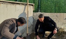 Yozgat Ülkü Ocakları fidan dikti