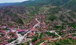 Denetimlerin ardı arkası kesilmiyor: Bir denetim de Aydıncık'a