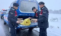 Yozgat jandarması yaban hayvanlarını unutmadı