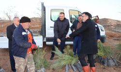 Yerköy’de 'yeşil gelecek' adımları!