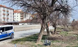 Çorum'da ağaca astığı iple hayatına son vermeye kalkıştı!