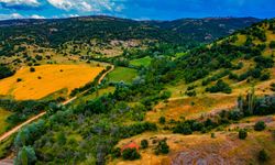 Kilosu 15 bin lira… Yozgat’ta bulunuyor!