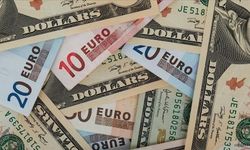 Dolar ve Euro tarihin en yüksek sayılarında!