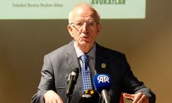 İbrahim Kaboğlu kimdir? Neden görevden alındı?