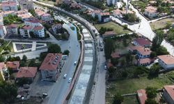 Sorgun'da bonzai ele geçirildi