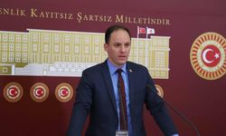 Deniz Yavuzyılmaz kimdir? Kaç yaşında, nereli? Hangi partili?