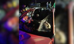 Başıboş ata çarpan otomobil takla attı: 1 ölü, 1 yaralı