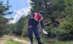 Yozgat'ta tabiat parkı denetlendi!